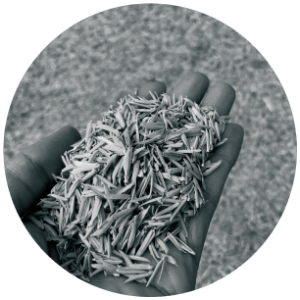 %Indowud - NFC board % 9 %Zero wood %