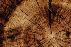 composite wood is changing the construction industry