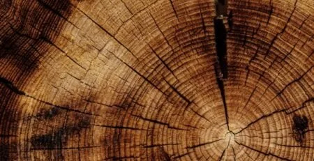 composite wood is changing the construction industry