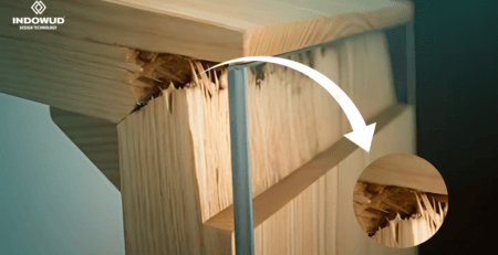 NFC wood, termite durable wood