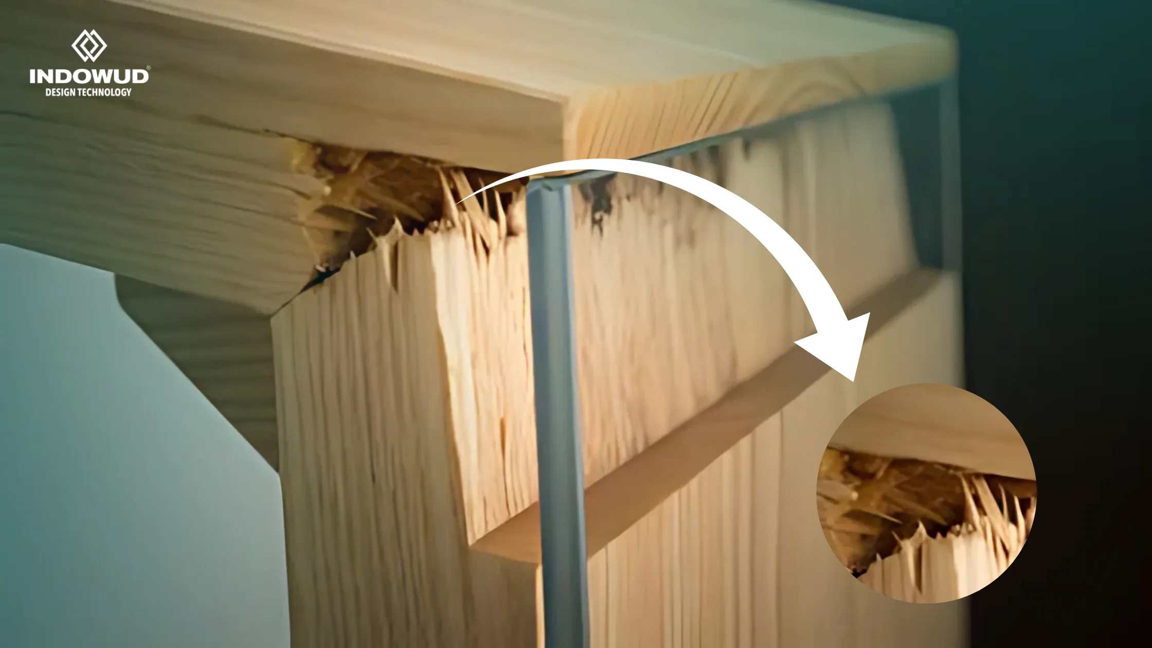 NFC wood, termite durable wood