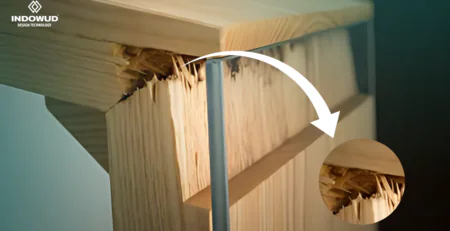 NFC wood, termite durable wood
