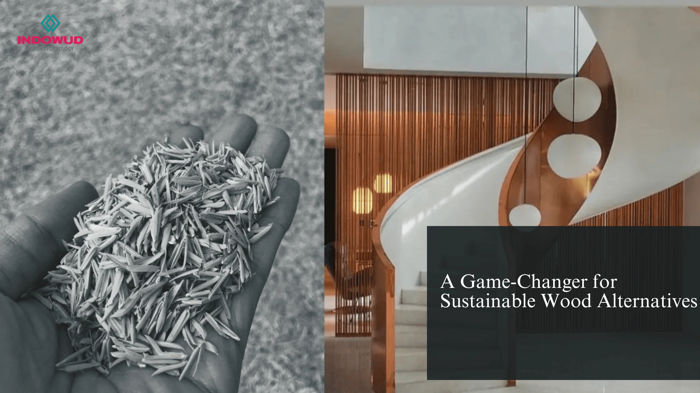 Sustainable Wood